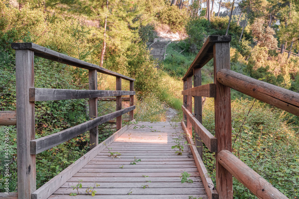 Wooden walkway in a Mediterranean forest at sunset. Wooden walkway in a Mediterranean forest at sunset.
