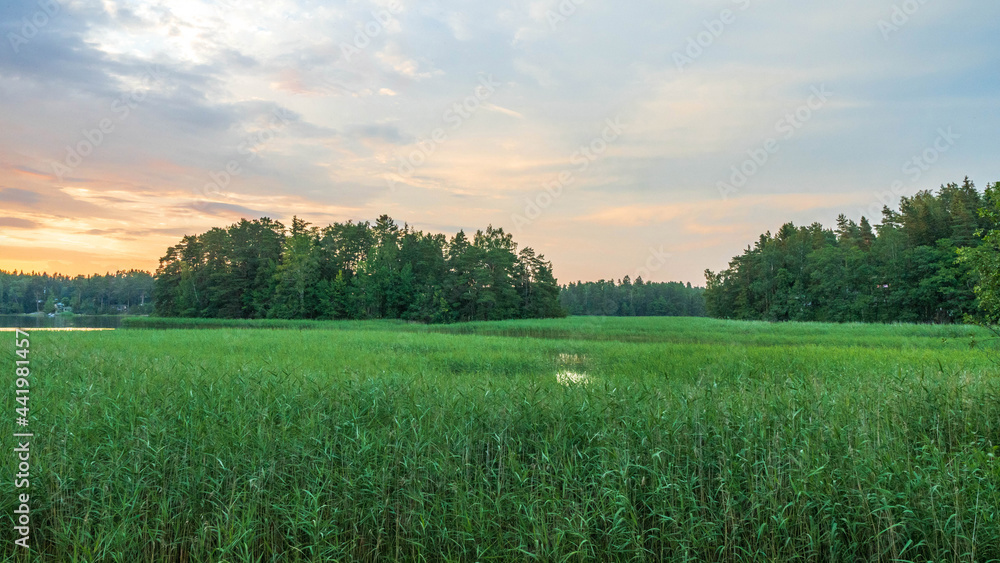Fototapeta premium Finnish archipelago in midsummer evening.