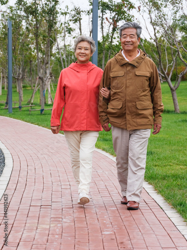 Happy old couple walking in the park