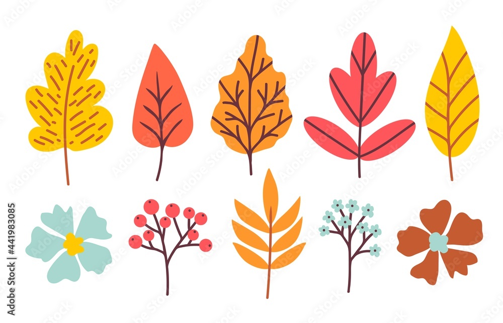 Obraz premium Set of bright autumn leaves, rowan berry flowers, twigs. Colored vector illustration for seasonal design.