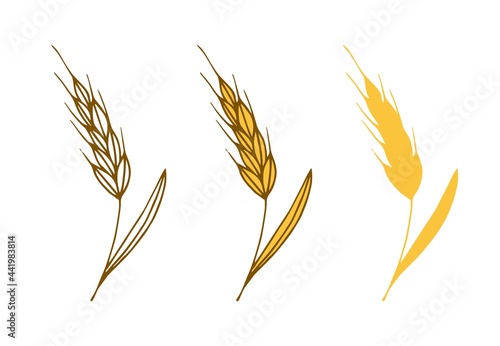 Simple color vector drawing, set. Golden ear of wheat, cereal products. Farm harvest, flour products, baked goods, home bakery. For label prints, packaging.