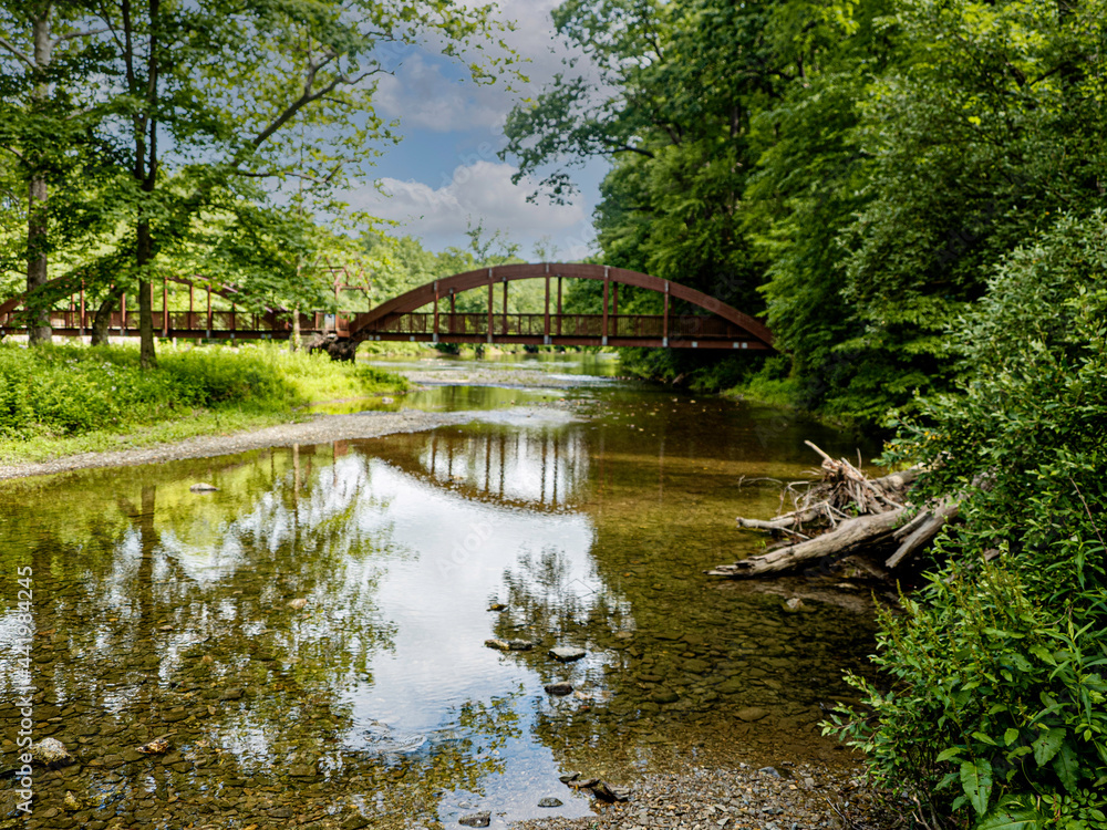 bridge in the park