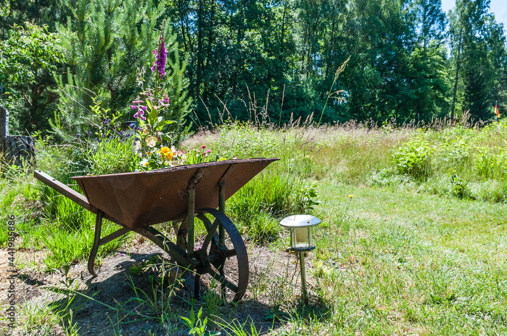 Alte rostige Schubkarre mit Rad aus Metall. umfunktioniert zu einen Blumenbeet Alte rostige Schubkarre mit Rad aus Metall. umfunktioniert zu einen Blumenbeet