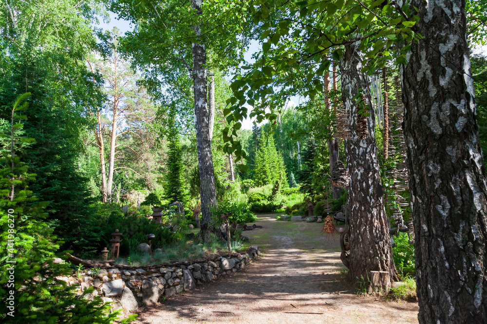 Hello sunshine - birch forest nature garden summer stock pictures, royalty-free photos & images. Fresh meadow landscape. Hello sunshine - birch forest nature garden summer stock pictures, royalty-free photos & images. Fresh meadow landscape.