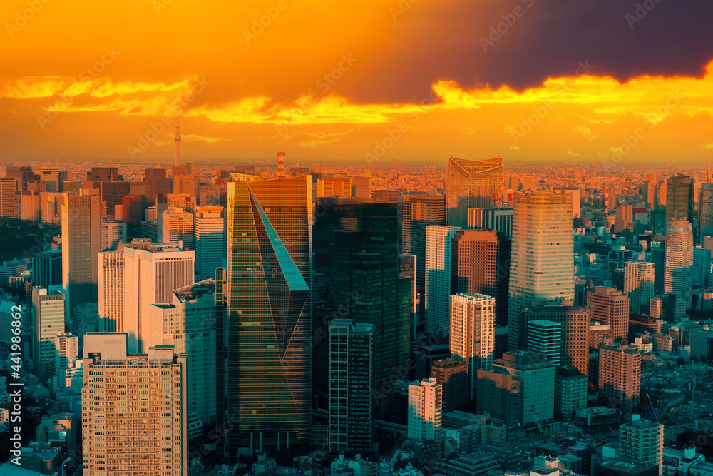 Panorama of Tokyo. Sunset over Japan. Sunrise in Tokyo. Japanese ...