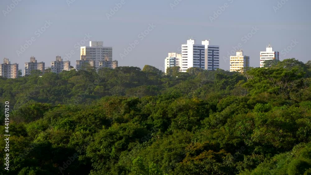 Trees and leafs slowly moving with the wind in front of buildings and skyscrapers at Tancredo Neves Avenue, Salvador, Bahia, Brazil Trees and leafs slowly moving with the wind in front of buildings and skyscrapers at Tancredo Neves Avenue, Salvador, Bahia, Brazil
