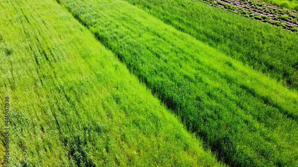 Aerial drone view of a flying over the rural agricultural landscape. Aerial drone view of a flying over the rural agricultural landscape.