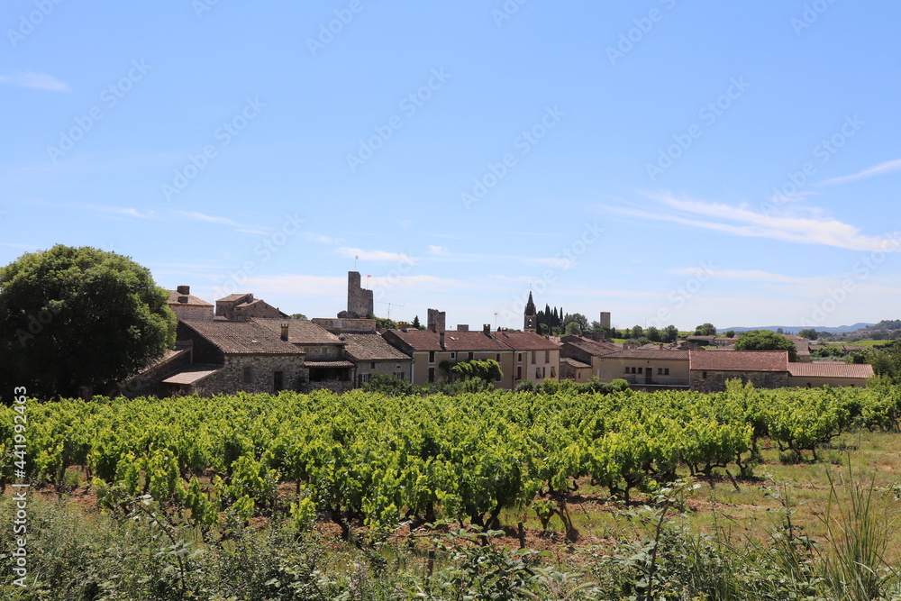 Vue d'ensemble du village de Aigueze avec les vignes en premier plan, village de Aigueze, departement du Gard, France