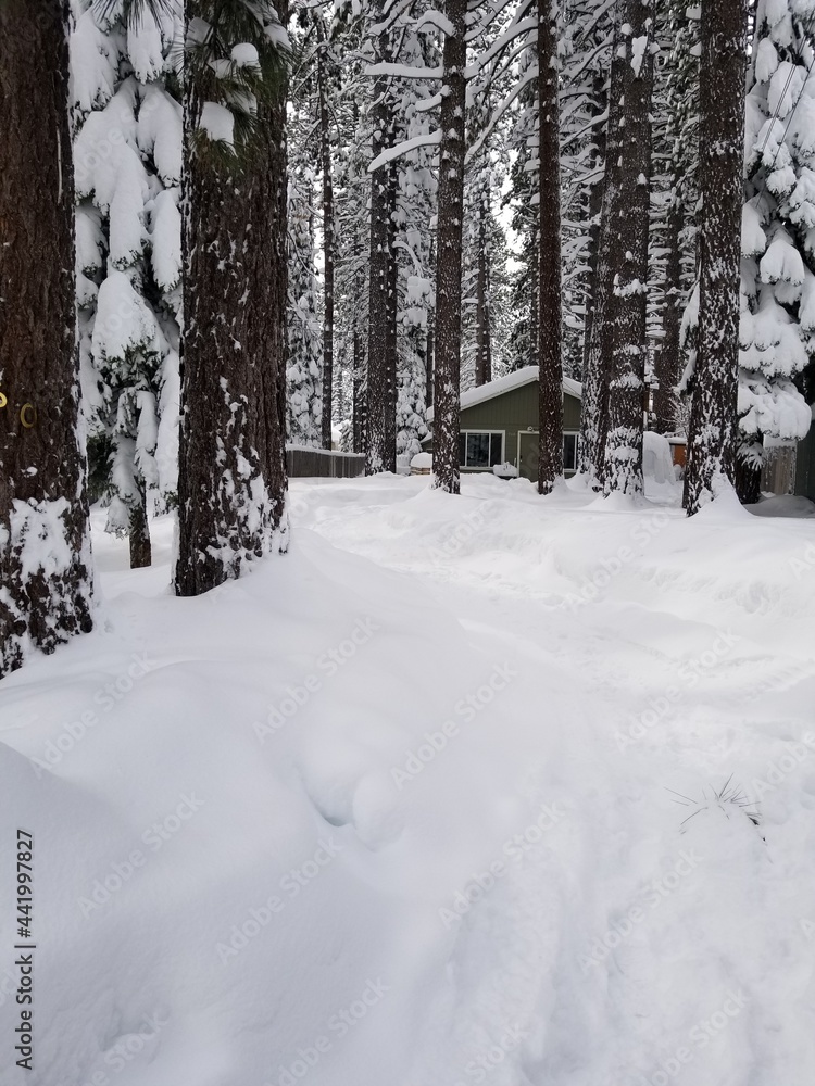 snow covered house snow covered house