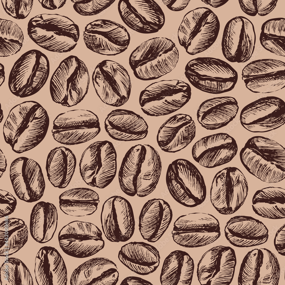 Coffee bean graphic seamless pattern. Vector illustration.