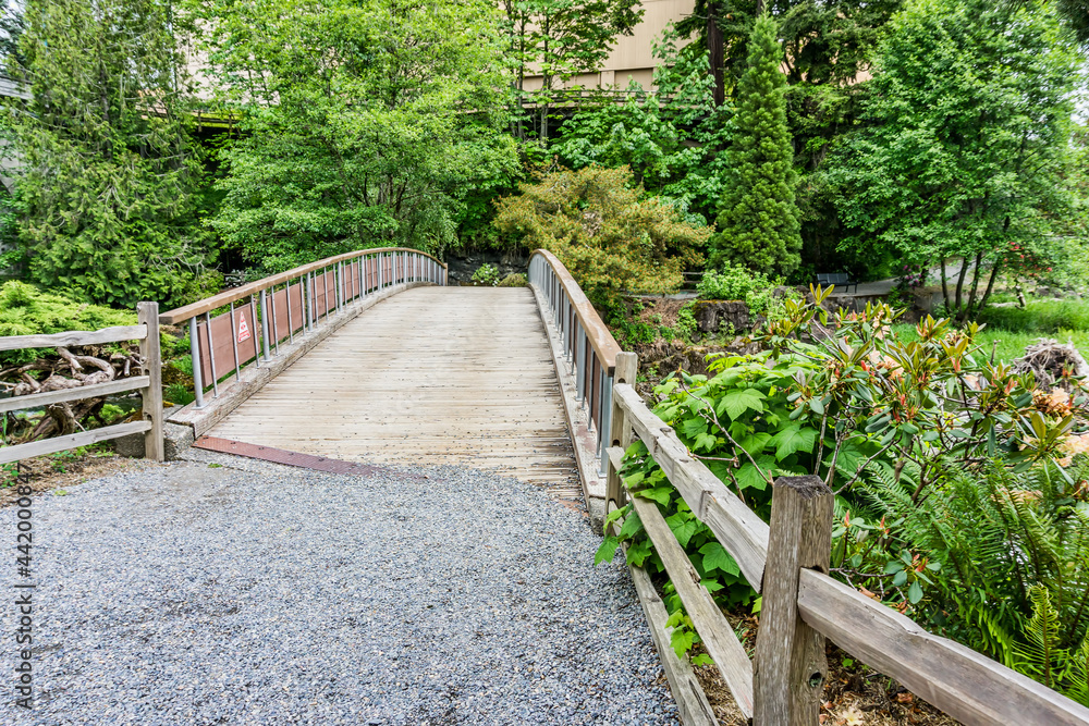 Scenic Walking Bridges Scenic Walking Bridges