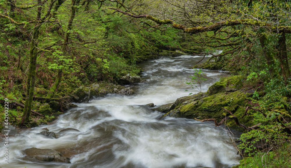 Fototapeta premium Stunning Spring landscape image of Watrersmeet in Devon England where two rivers meet to form one large powerful river