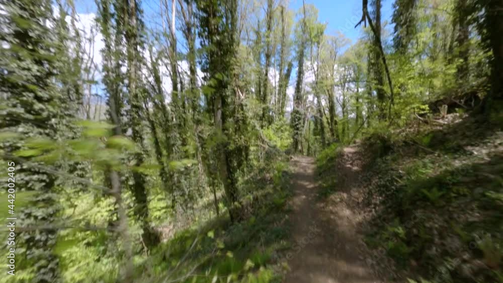 Brown ground extreme bike park track in green dense forest with coloured signs under blue sky with clouds. First person aerial back motion on fpv drone bikepark trail Brown ground extreme bike park track in green dense forest with coloured signs under blue sky with clouds. First person aerial back motion on fpv drone bikepark trail