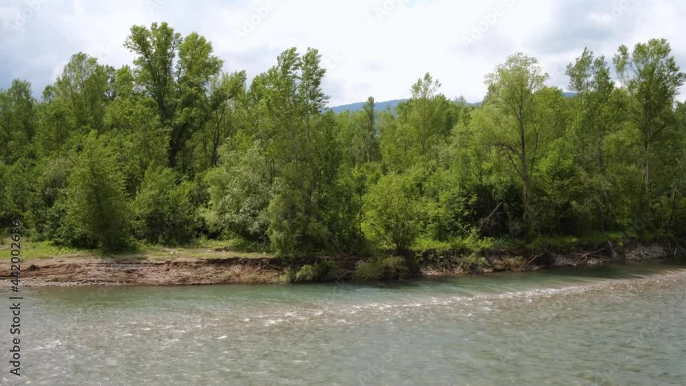 Beautiful calm mountain river of bluish hue flows slowly among stones against background of green dense summer forest. Mountain river fascinates and attracts attention. Horizontal 4k real time video. Beautiful calm mountain river of bluish hue flows slowly among stones against background of green dense summer forest. Mountain river fascinates and attracts attention. Horizontal 4k real time video.