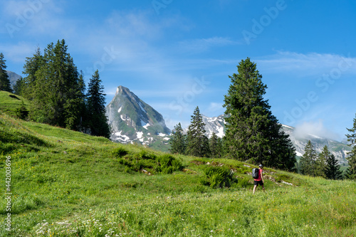 In der Schweiz bei den Churfirsten photo