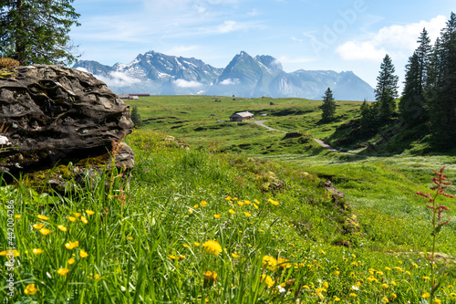 Schweiz im Sommer Churfirsten photo