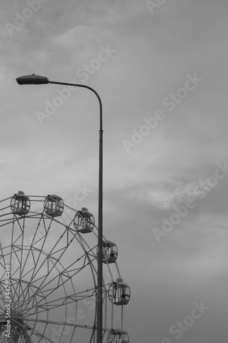 ferris wheel in the park