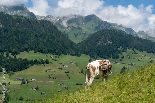 Schweiz im Sommer Churfirsten