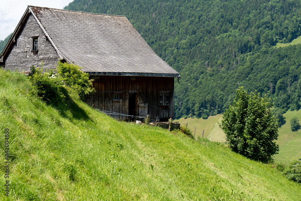 Obraz premium Schweiz im Sommer Churfirsten