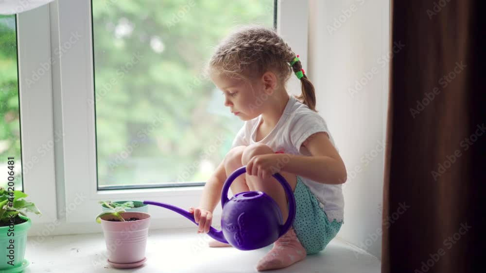 Little Girl Watering Houseplant Ficus Window Windowsill Stay Home Cute Caucasian Female Child Cares Home Plant Eco Friendly Childhood Little Girl Watering Houseplant Ficus Window Windowsill Stay Home Cute Caucasian Female Child Cares Home Plant Eco Friendly Childhood