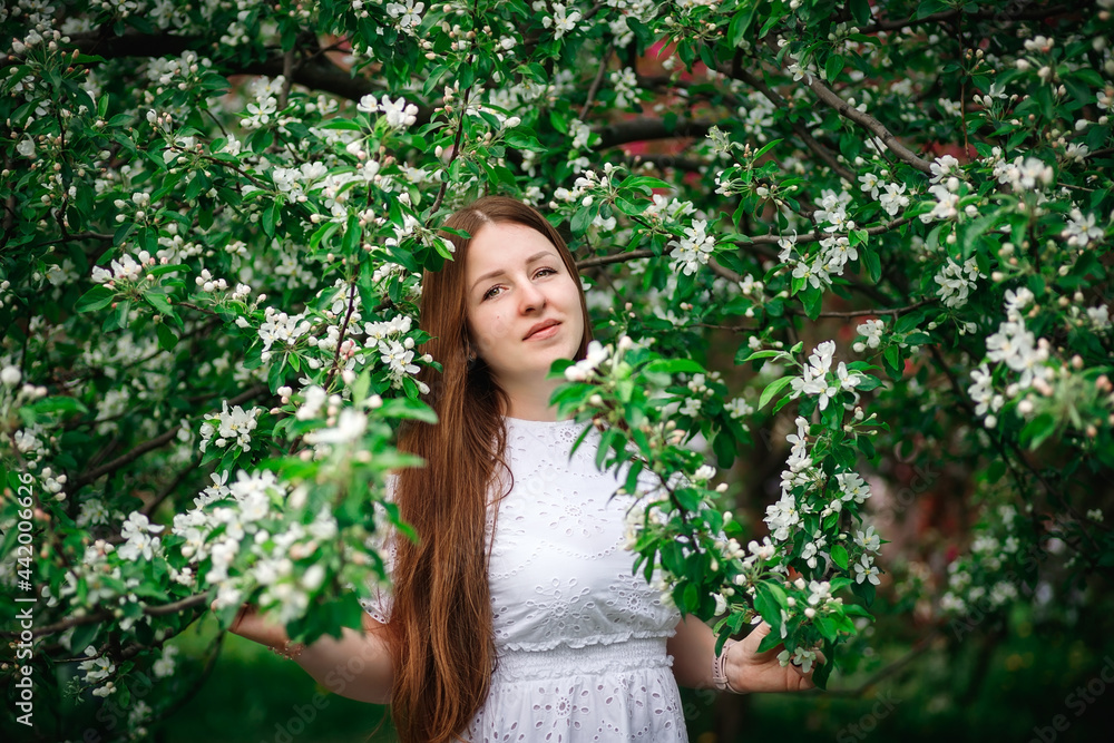 Beautiful girl in the park, in a white dress. Flowering trees. Beautiful girl in the park, in a white dress. Flowering trees.