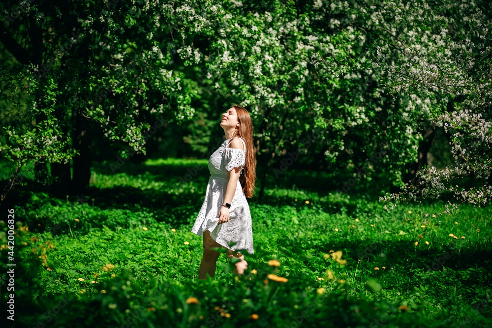 Beautiful girl in the park, in a white dress. Flowering trees. Beautiful girl in the park, in a white dress. Flowering trees.