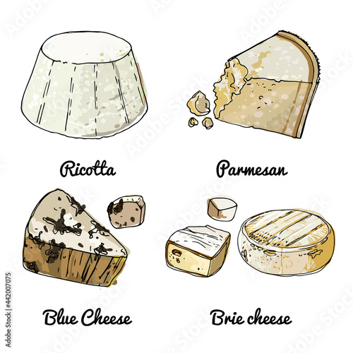 Vector food icons of cheeses. Colored sketch of food products. Ricotta, parmesan, blue cheese, brie cheese