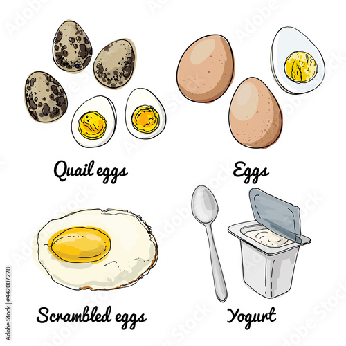 Vector food icons. Colored sketch of food products. Eggs, quail eggs, scrambled eggs, yogurt