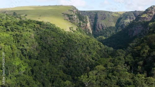 Magnificent aerial views of grasslands, swamp forests and forested ravines of the Mkambati Nature Reserve, Eastern Cape, South Africa photo