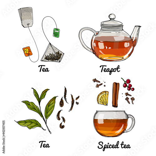 Vector food icons of drinks, tea. Colored sketch of food products.