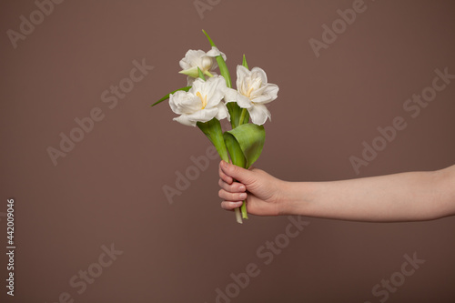 White flowers bouquet  minimal card background