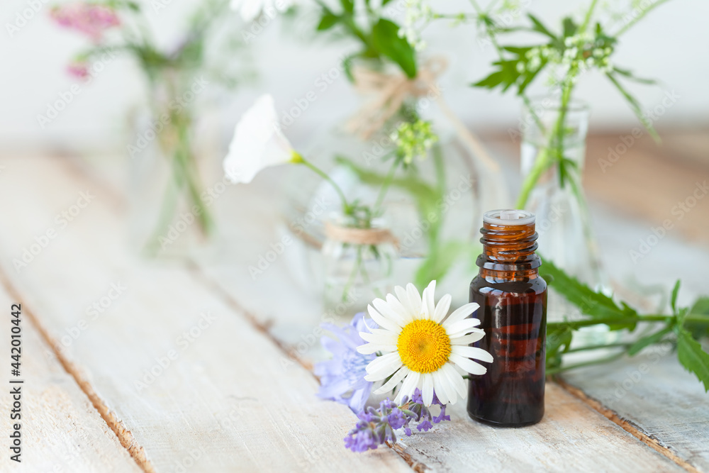 Fototapeta premium Concept of pure natural organic herbal and flower ingredients in cosmetic production. Camomile, lavender essential oils for gentle face and body care. Aromatherapy. Wooden background, copy space