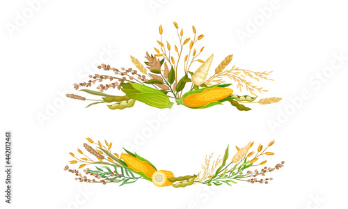 Agricultural Composition with Different Spikelet and Grain Crop Like Corn and Wheatear Vector Set
