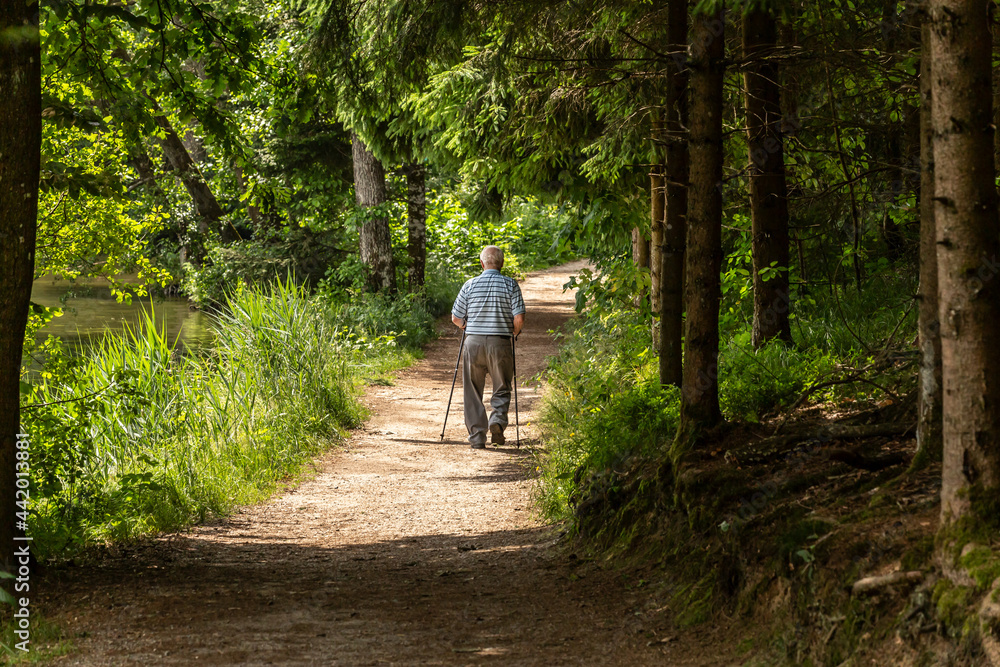 Fototapeta premium An elderly man walking on a hiking path in the forest