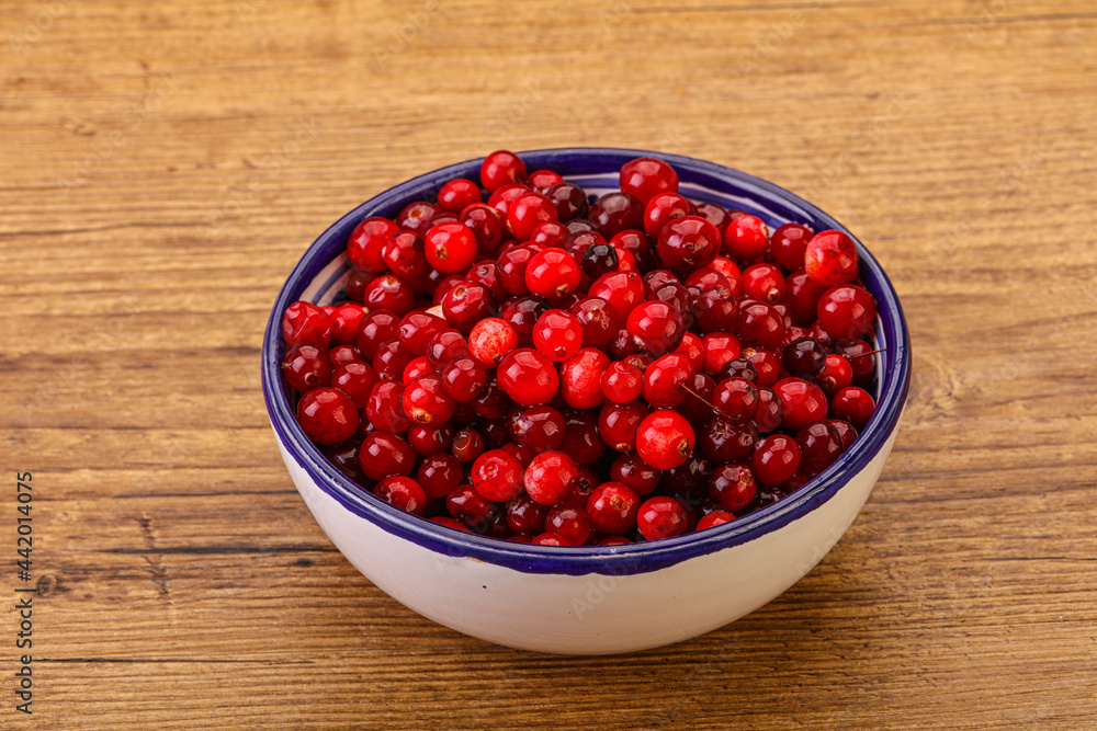Sweet and tasty cranberry in the bowl Sweet and tasty cranberry in the bowl