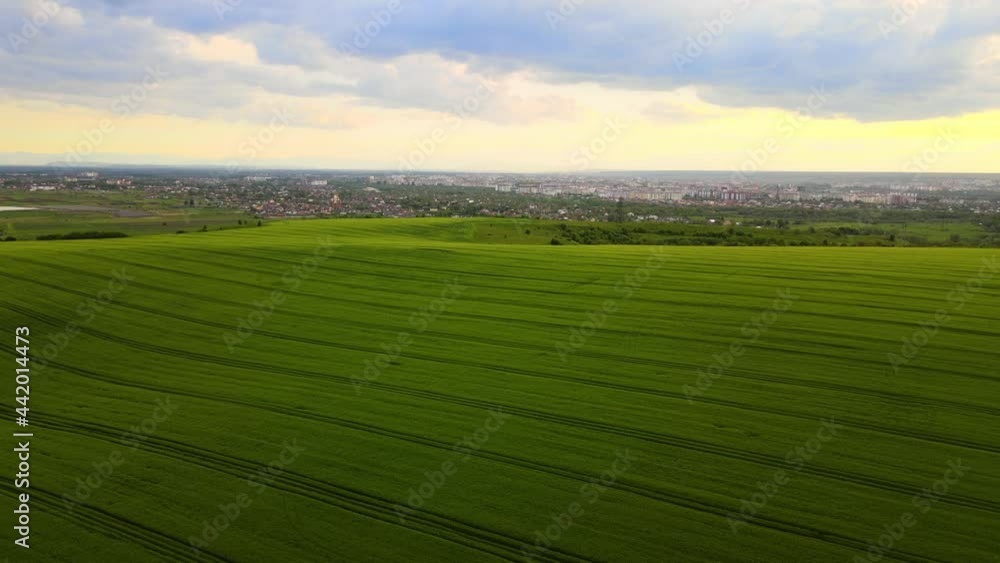 Aerial landscape view of green cultivated agricultural fields with growing crops on bright summer evening. Aerial landscape view of green cultivated agricultural fields with growing crops on bright summer evening.