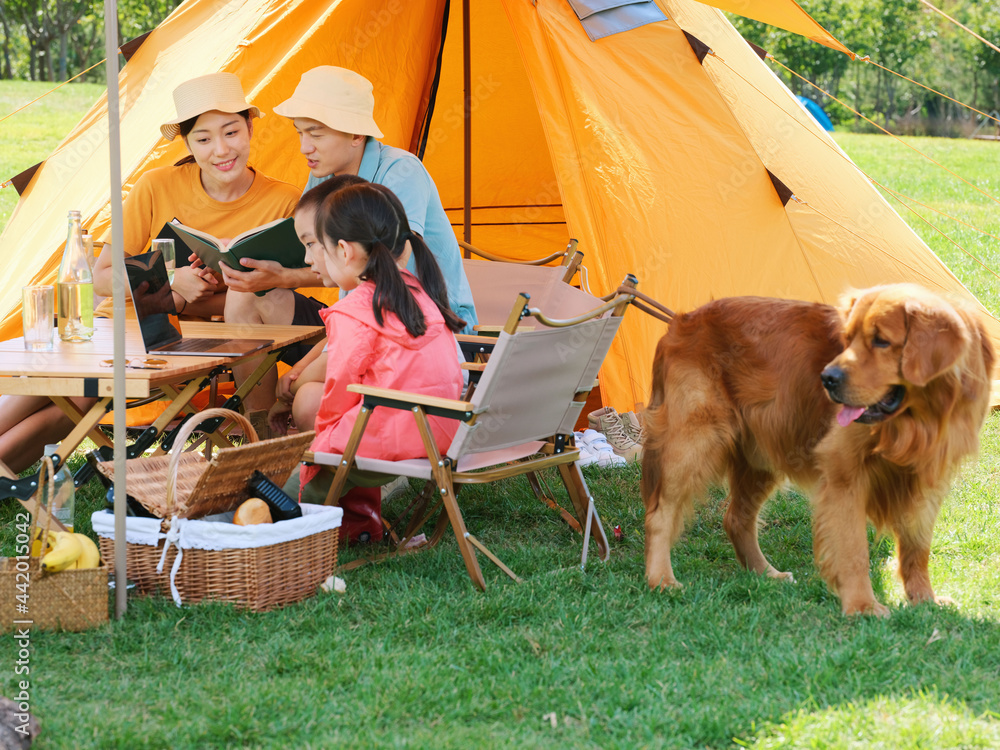 Happy family of four and dog camping out - obrazy, fototapety, plakaty 