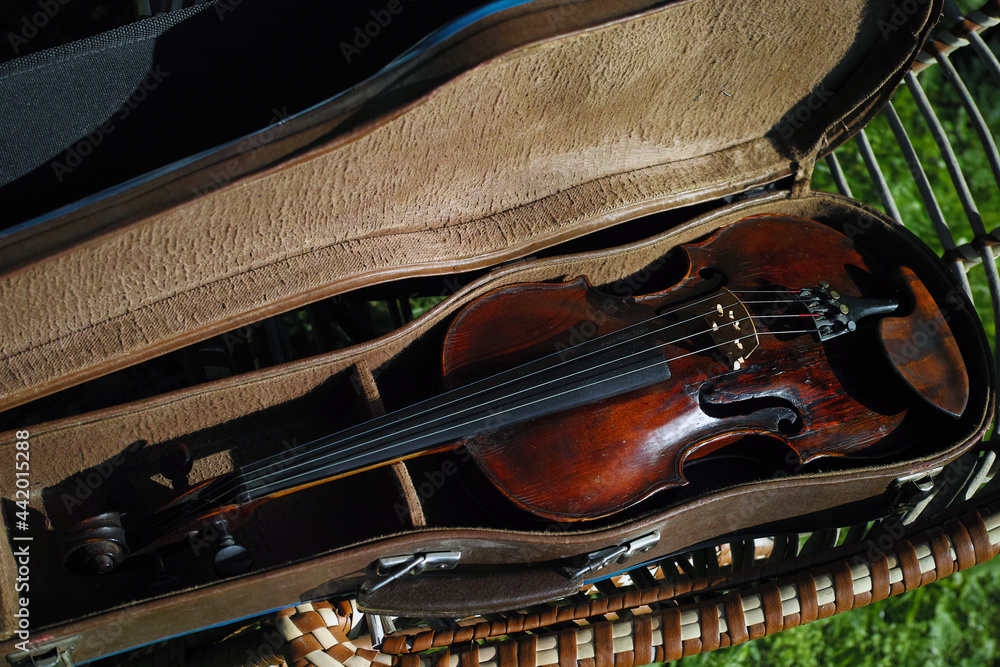 Fototapeta premium violin in open case