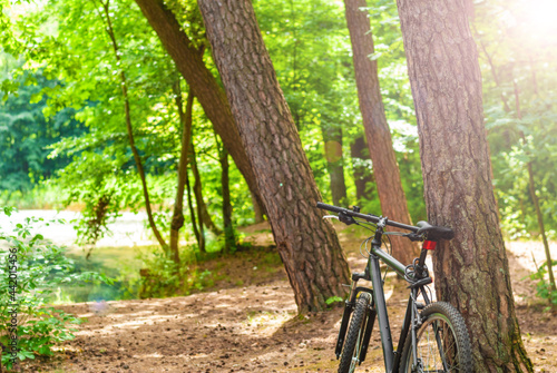 Bicycle in the forest near the river