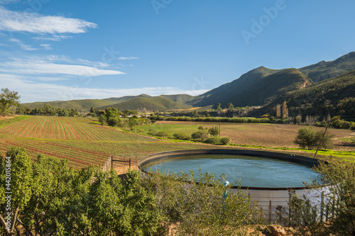 oudtshoorn wine valley in Wester Cape South Africa