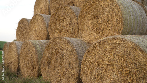 Large hay bales stacked on a field. The scene in a hue of yellow to golden nature colors. A scenic close-up view of rolls in autumn after harvest time.