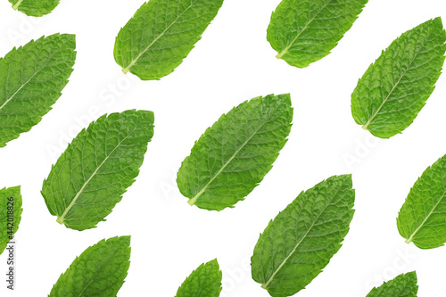 Mint leaves isolated on a white background © Татьяна Осипова