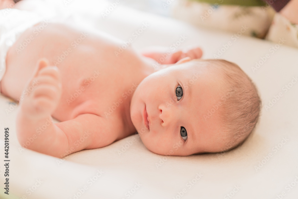 Adorable newborn baby resting on soft cloth Adorable newborn baby resting on soft cloth