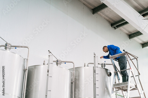 Brewer on ladder filling fermentation reservoir in beer factory