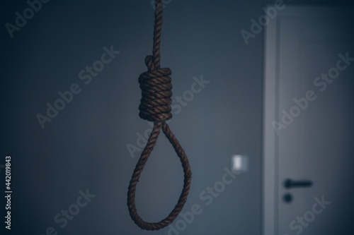 Rope with loop or knot. Symbol of suicide, death.