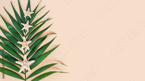 Palm leaf and sea stars on neutral beige background. Exotic tropical summer background. Travel and vacations concept. Top view banner, minimal flat lay, copy space