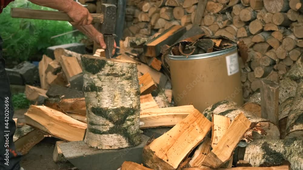 Vidéo Stock Closeup, a log is cut in half with a wedge and a hammer