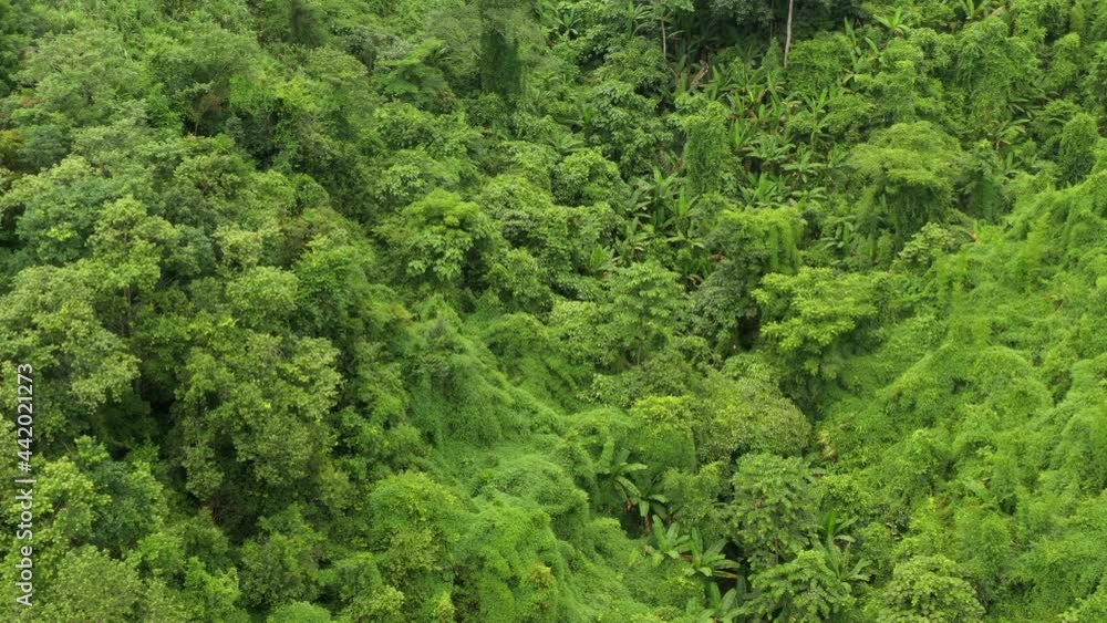 Aerial view flying above lush green tropical rain forest mountain the rainy season on the Doi Phuka Mountain reserve national park the Nan province northern Thailand. Aerial view flying above lush green tropical rain forest mountain the rainy season on the Doi Phuka Mountain reserve national park the Nan province northern Thailand.