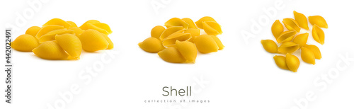 Uncooked shell pasta isolated on white background.