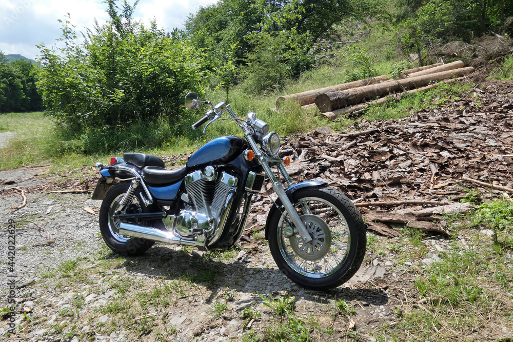 Shiny thick chopper on the edge of the forest Shiny thick chopper on the edge of the forest